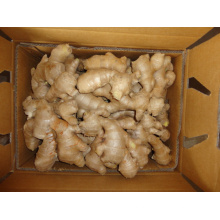 250g und oben Air Dry Ginger für EU